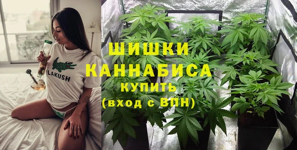 ешки Богданович