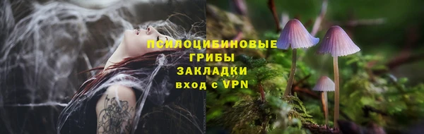 MDMA Богородицк