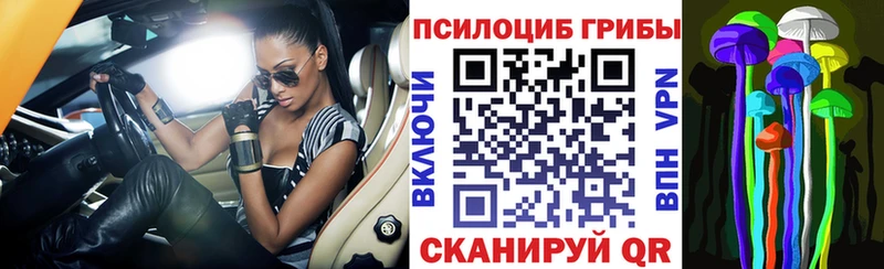 Галлюциногенные грибы прущие грибы Купить где Волоколамск